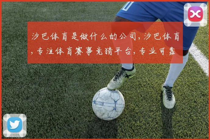 沙巴体育是做什么的公司,沙巴体育,专注体育赛事竞猜平台,专业可靠